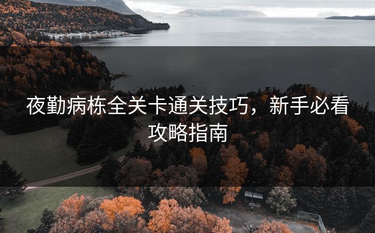 夜勤病栋全关卡通关技巧，新手必看攻略指南