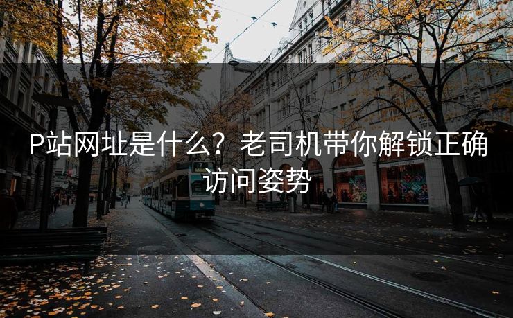 P站网址是什么？老司机带你解锁正确访问姿势