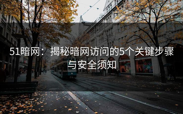 51暗网：揭秘暗网访问的5个关键步骤与安全须知
