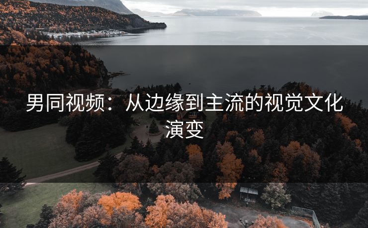 男同视频：从边缘到主流的视觉文化演变