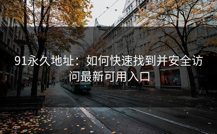 91永久地址：如何快速找到并安全访问最新可用入口
