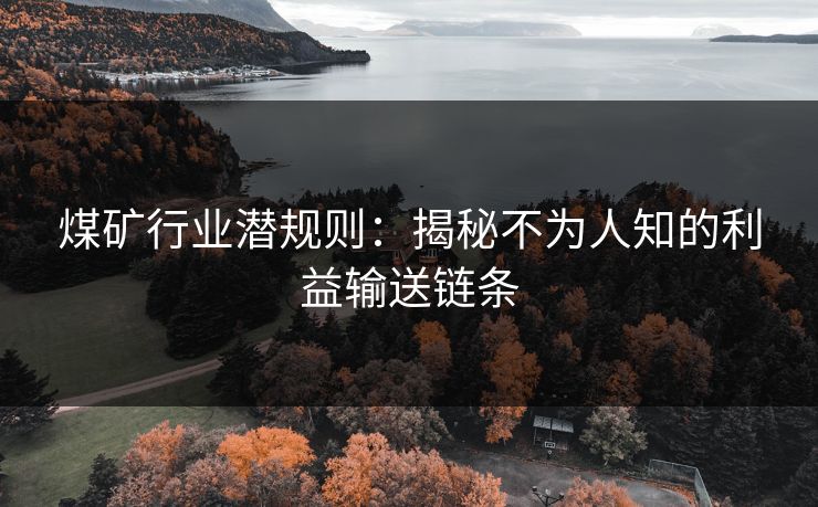 煤矿行业潜规则:揭秘不为人知的利益输送链条 第1张 煤矿行业潜规则:揭秘不为人知的利益输送链条 第1张