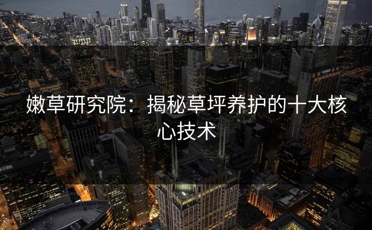 嫩草研究院：揭秘草坪养护的十大核心技术