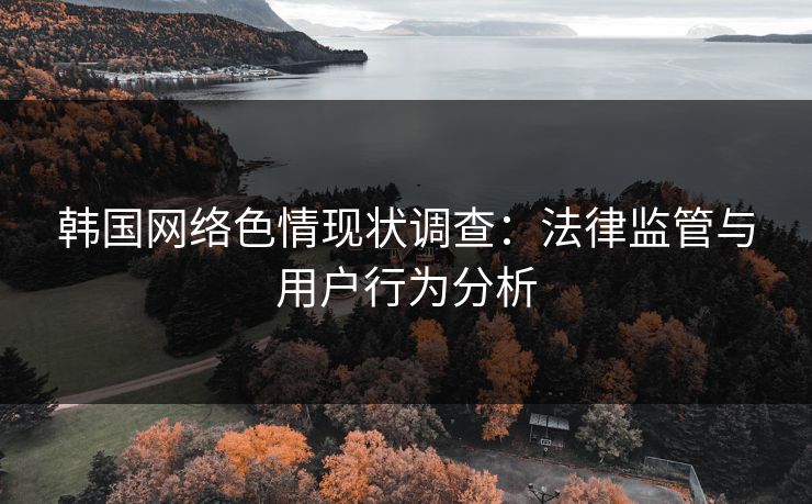 韩国网络色情现状调查：法律监管与用户行为分析