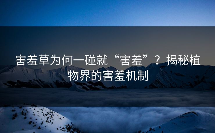 害羞草为何一碰就“害羞”？揭秘植物界的害羞机制