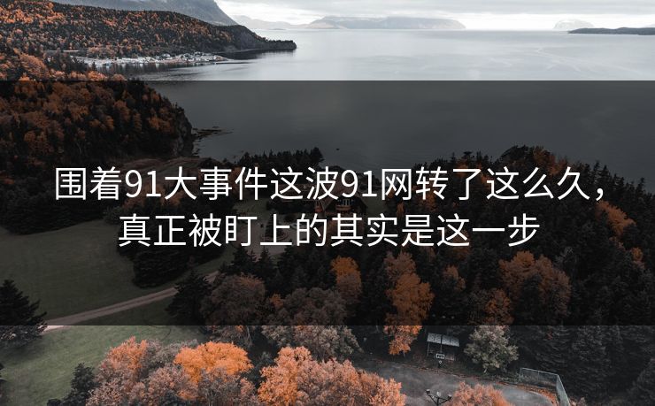 围着91大事件这波91网转了这么久，真正被盯上的其实是这一步